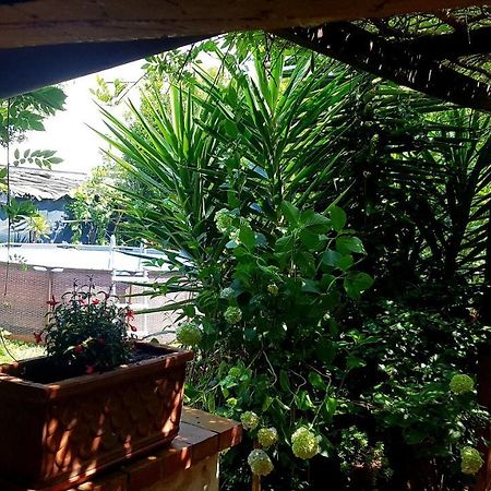 Casa Maya Con Giardino Privato توري ديل لاغو بوتشيني المظهر الخارجي الصورة
